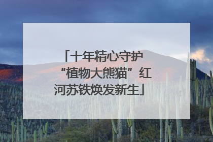 十年精心守护 “植物大熊猫”红河苏铁焕发新生