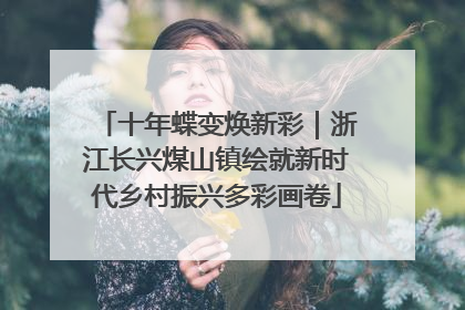 十年蝶变焕新彩｜浙江长兴煤山镇绘就新时代乡村振兴多彩画卷