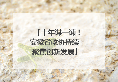 十年谋一谏！安徽省政协持续聚焦创新发展
