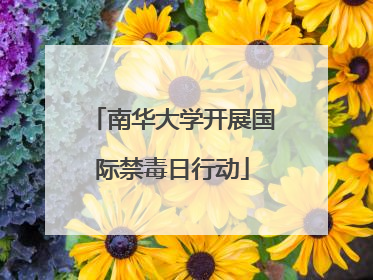 南华大学开展国际禁毒日行动
