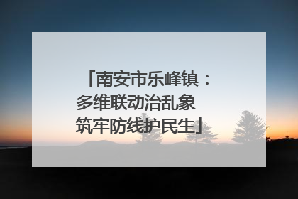 南安市乐峰镇：多维联动治乱象 筑牢防线护民生