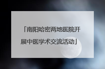南阳哈密两地医院开展中医学术交流活动