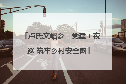 卢氏文峪乡：党建＋夜巡 筑牢乡村安全网