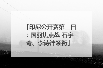 印尼公开赛第三日：国羽焦点战 石宇奇、李诗沣领衔