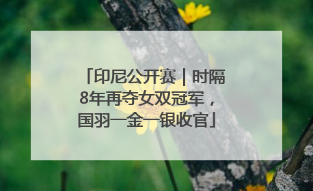 印尼公开赛｜时隔8年再夺女双冠军，国羽一金一银收官