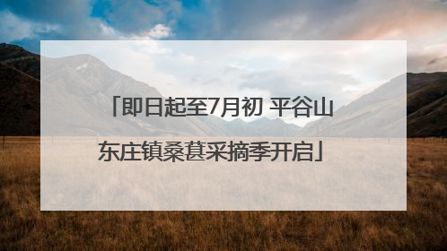 即日起至7月初 平谷山东庄镇桑葚采摘季开启