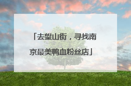 去望山街，寻找南京最美鸭血粉丝店