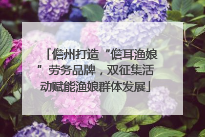 儋州打造“儋耳渔娘”劳务品牌，双征集活动赋能渔娘群体发展