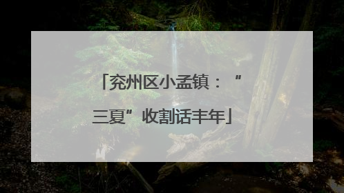 兖州区小孟镇：“三夏”收割话丰年
