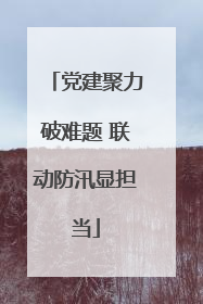 党建聚力破难题 联动防汛显担当