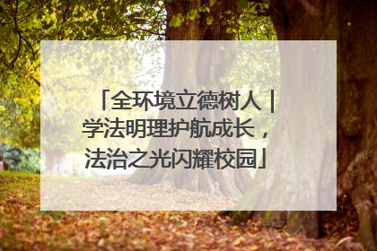 全环境立德树人｜学法明理护航成长，法治之光闪耀校园