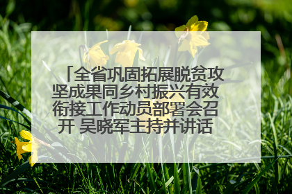 全省巩固拓展脱贫攻坚成果同乡村振兴有效衔接工作动员部署会召开 吴晓军主持并讲话 罗东川作安排部署