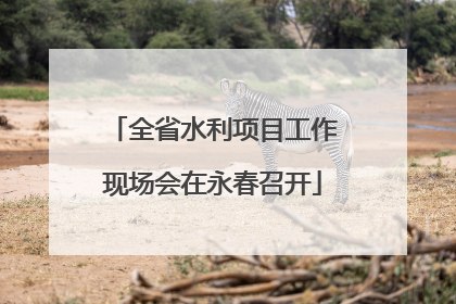 全省水利项目工作现场会在永春召开