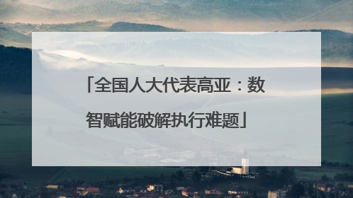 全国人大代表高亚：数智赋能破解执行难题