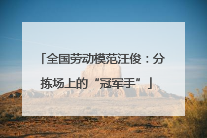 全国劳动模范汪俊：分拣场上的“冠军手”