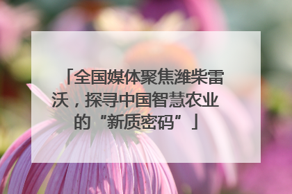 全国媒体聚焦潍柴雷沃，探寻中国智慧农业的“新质密码”