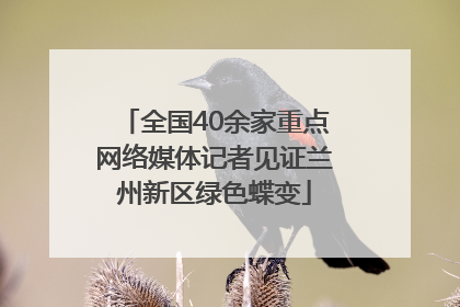 全国40余家重点网络媒体记者见证兰州新区绿色蝶变