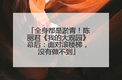 全身都是淤青！陈丽君《我的大观园》幕后：面对滚楼梯，没有做不到