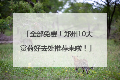 全部免费！郑州10大赏荷好去处推荐来啦！