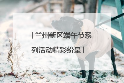 兰州新区端午节系列活动精彩纷呈