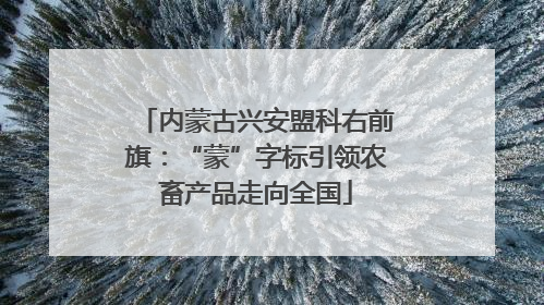 内蒙古兴安盟科右前旗：“蒙”字标引领农畜产品走向全国
