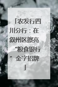 农发行四川分行：在叙州区擦亮“粮食银行”金字招牌