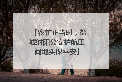 农忙正当时，盐城射阳公安护航田间地头保平安