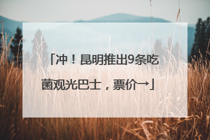 冲！昆明推出9条吃菌观光巴士，票价→