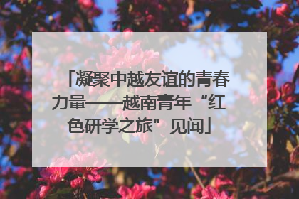 凝聚中越友谊的青春力量——越南青年“红色研学之旅”见闻