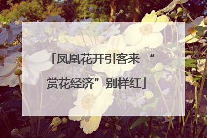 凤凰花开引客来 “赏花经济”别样红