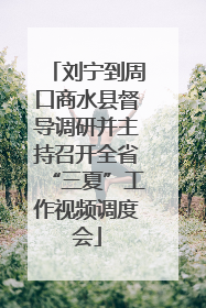 刘宁到周口商水县督导调研并主持召开全省“三夏”工作视频调度会