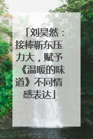 刘昊然：接棒靳东压力大，赋予《温暖的味道》不同情感表达