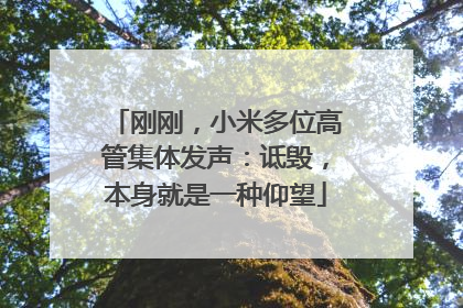 刚刚，小米多位高管集体发声：诋毁，本身就是一种仰望