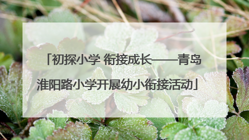 初探小学 衔接成长——青岛淮阳路小学开展幼小衔接活动