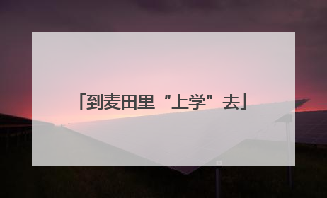 到麦田里“上学”去