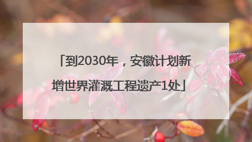 到2030年，安徽计划新增世界灌溉工程遗产1处