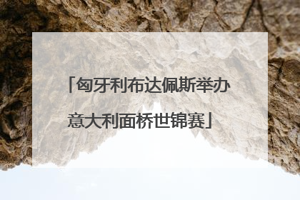 匈牙利布达佩斯举办意大利面桥世锦赛