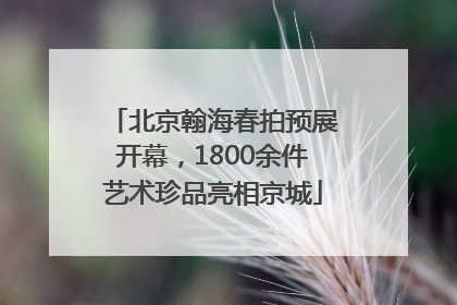北京翰海春拍预展开幕，1800余件艺术珍品亮相京城