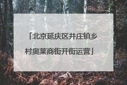 北京延庆区井庄镇乡村奥莱商街开街运营