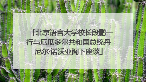 北京语言大学校长段鹏一行与厄瓜多尔共和国总统丹尼尔·诺沃亚阁下座谈