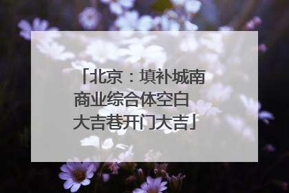北京：填补城南商业综合体空白 大吉巷开门大吉