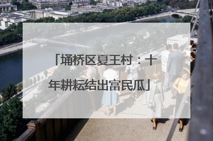 埇桥区夏王村：十年耕耘结出富民瓜