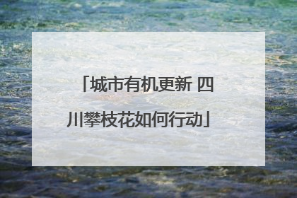 城市有机更新 四川攀枝花如何行动