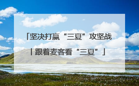 坚决打赢“三夏”攻坚战丨跟着麦客看“三夏”