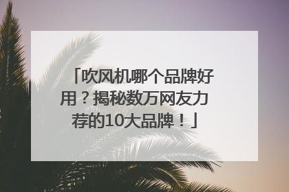 吹风机哪个品牌好用？揭秘数万网友力荐的10大品牌！