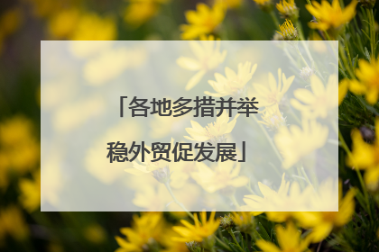 各地多措并举稳外贸促发展