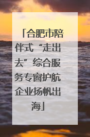 合肥市陪伴式“走出去”综合服务专窗护航企业扬帆出海