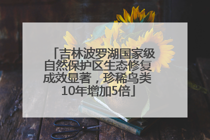 吉林波罗湖国家级自然保护区生态修复成效显著，珍稀鸟类10年增加5倍