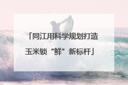同江用科学规划打造玉米锁“鲜”新标杆