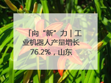 向“新”力｜工业机器人产量增长76.2%，山东因地制宜发展新质生产力